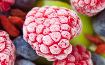 Zumit : Distributeur en ligne de fruits surgelés pour smoothies